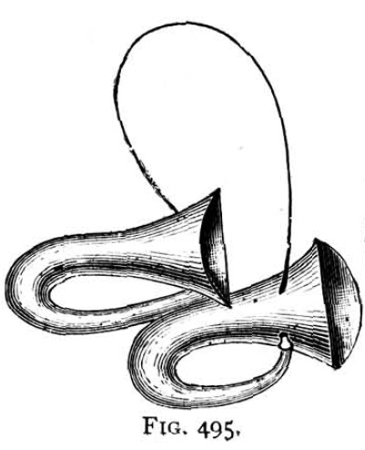 overall view of ear trumpet