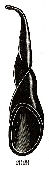 overall view of ear trumpet