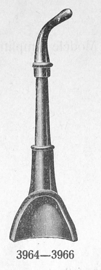 overall view of ear trumpet