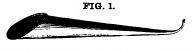overall view of ear trumpet