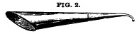 overall view of ear trumpet