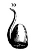 overall view of ear trumpet