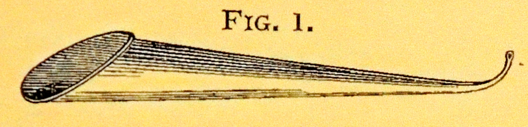 overall view of ear trumpet