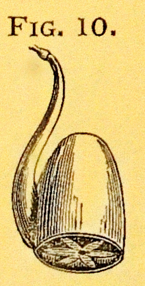 overall view of ear trumpet