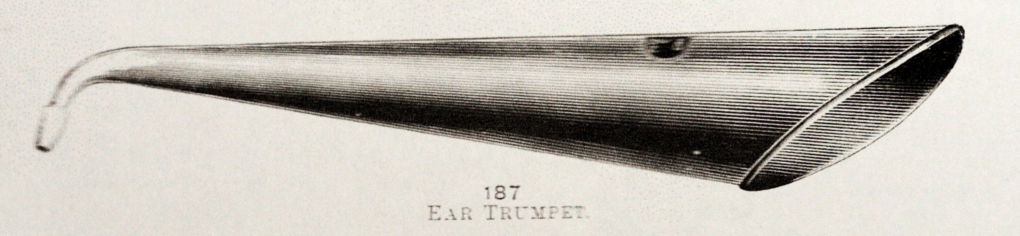 overall view of ear trumpet