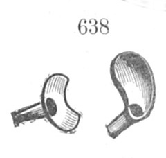 overall view of ear trumpet