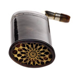 horn view of ear trumpet
