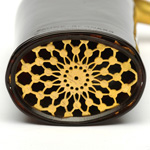 horn view of ear trumpet