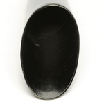 horn view of ear trumpet