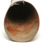 horn view of ear trumpet