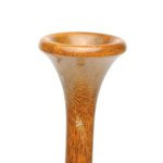 horn view of ear trumpet