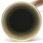 horn view of ear trumpet