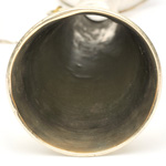 horn view of ear trumpet