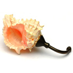 picture shows one piece ear trumpet
