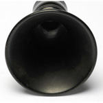 horn view of ear trumpet