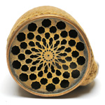 horn view of ear trumpet