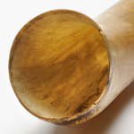 horn view of ear trumpet