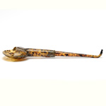 picture shows miss greene ear trumpet