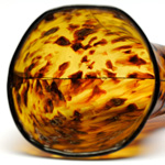 horn view of ear trumpet