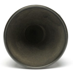 horn view of ear trumpet
