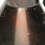 detail view of ear trumpet