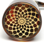 horn view of ear trumpet