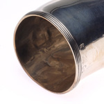 horn view of ear trumpet