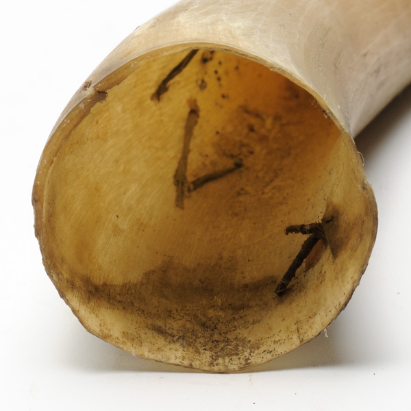 picture shows one piece ear trumpet @ EarTrumpets.co.uk