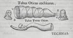 image relating to trumpet history